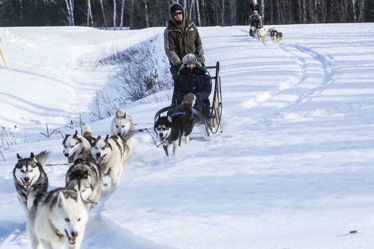 product-launch-marketing-event-dog-sleds
